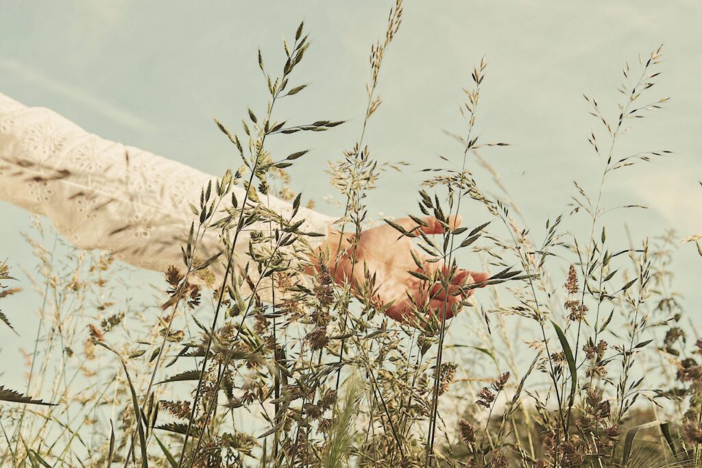 A hand gently touches grasses in a bright wheat field under a vivid sky, embodying peace and nature's calm. Psychologue, psychologue Paris 15, psychologue à Paris, psy en ligne, psy en Visio. Thérapie en Visio, psychotherapeutic