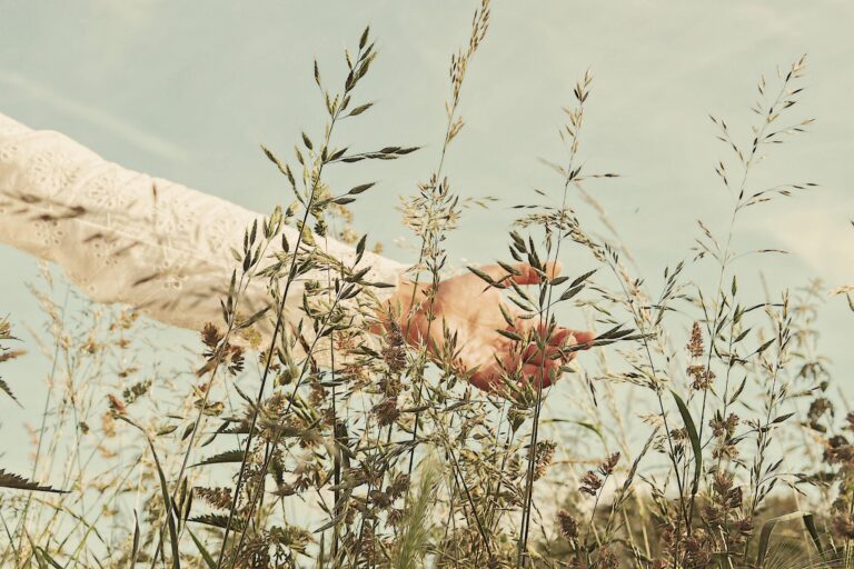 A hand gently touches grasses in a bright wheat field under a vivid sky, embodying peace and nature's calm. Psychologue, psychologue Paris 15, psychologue à Paris, psy en ligne, psy en Visio. Thérapie en Visio, psychotherapeutic